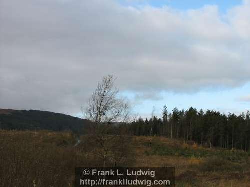 Ladies Brae, Ladies Bray, Ox Mountains